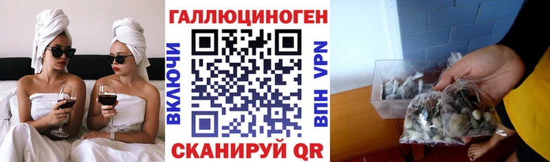 Псилоцибиновые грибы Magic Shrooms  Купить  Духовщина 